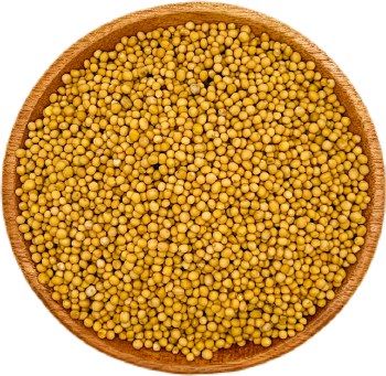 Mustard Seed Yellow Organic