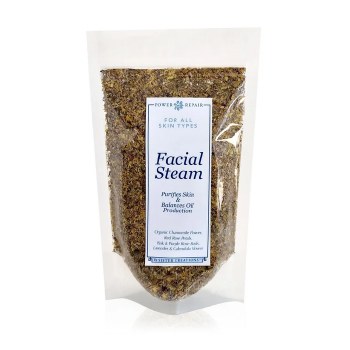 Power Repair Facial Steam