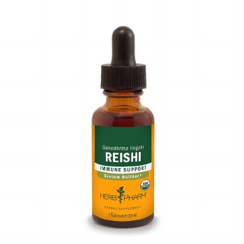 Reishi Extract