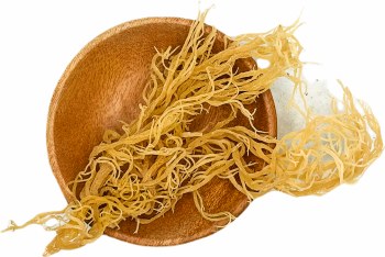 Sea Moss (Gold) Raw