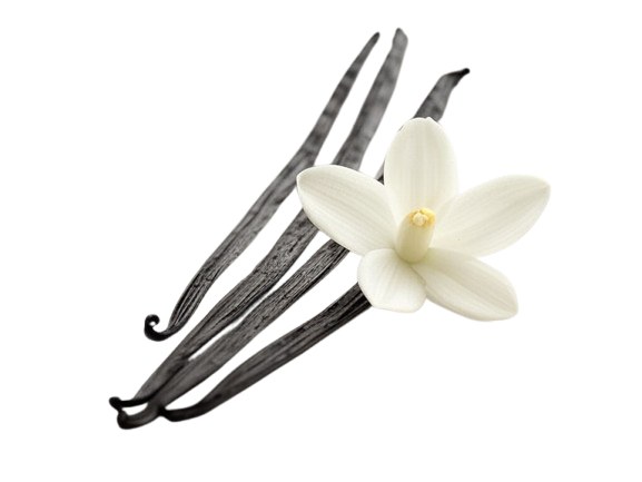Vanilla Bean Whole Organic