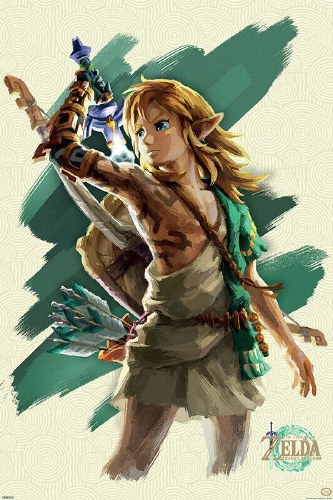 Legend of Zelda Tears of Kingdom Link 24" x 36" Poster