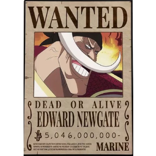 One Piece Wanted Edward Newgate 24" x 36" Poster