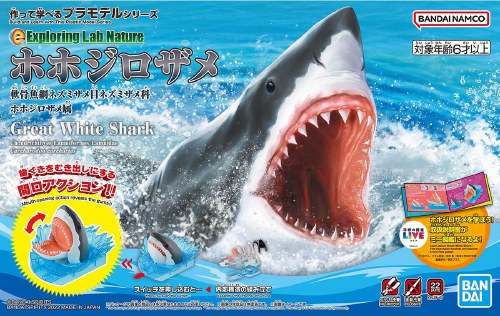 Exploring Lab Nature Great White Shark Model Kit
