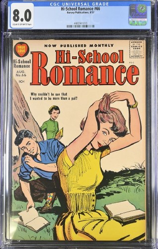 Hi-School Romance #66