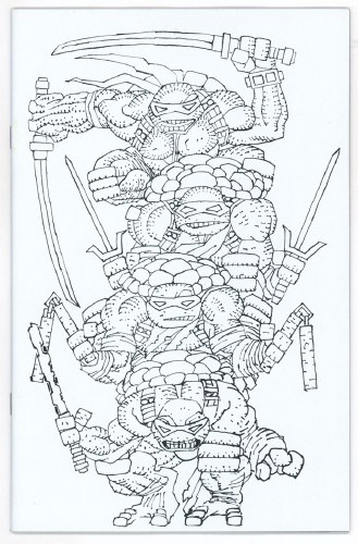 Teenage Mutant Ninja Turtles #20 Miller Full Art B&W 1:300 Variant