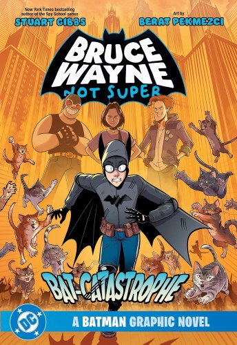 Bruce Wayne Not Super Bat-Catastrophe SC
