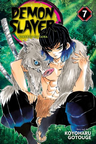 Demon Slayer Vol 07 SC