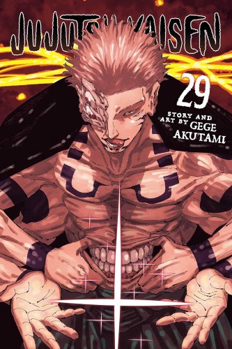 Jujutsu Kaisen Vol 29 SC