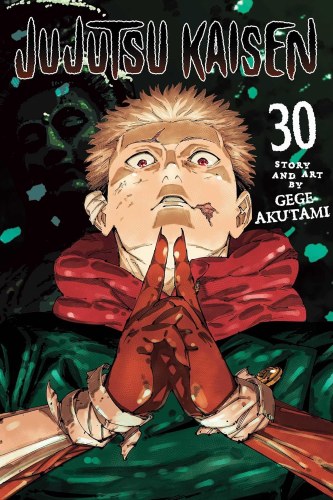 Jujutsu Kaisen Vol 30 SC