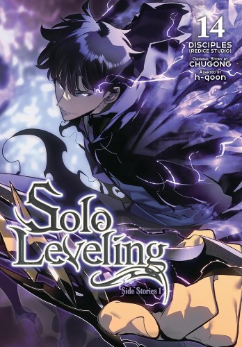 Solo Leveling Vol 14 SC