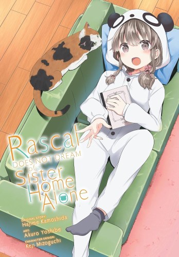 Rascal Does Not Dream of a Sister Home Alone SC