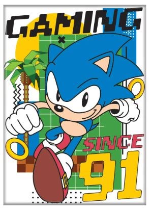 Sonic the Hedgehog Gaming Since 91 Magnet