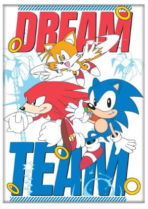 Sonic the Hedgehog Dream Team Magnet