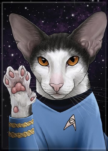 Star Trek Spock Cat Magnet