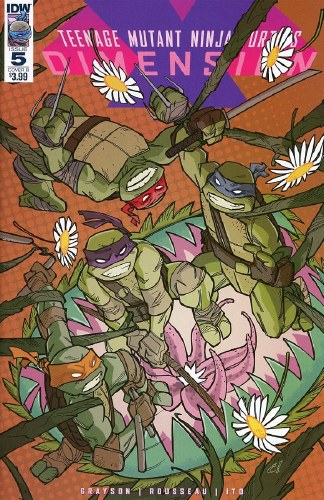 Teenage Mutant Ninja Turtles Dimension X #5 Rousseau Cover