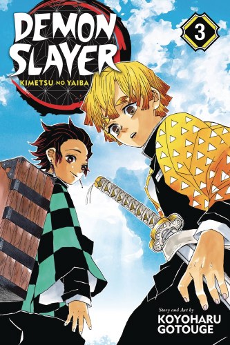Demon Slayer Vol 03 SC
