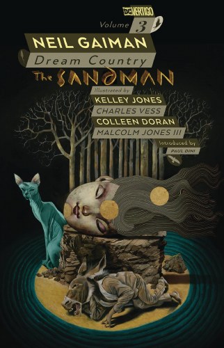 Sandman Vol 03 SC Dream Country 30th Annviersary