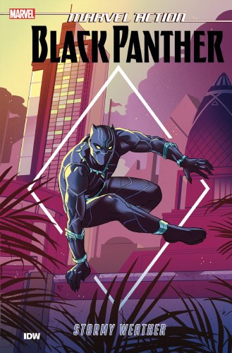 Marvel Action Black Panther Vol 01 SC Stormy Weather