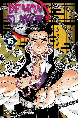 Demon Slayer Vol 15 SC
