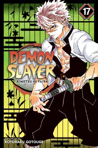 Demon Slayer Vol 17 SC