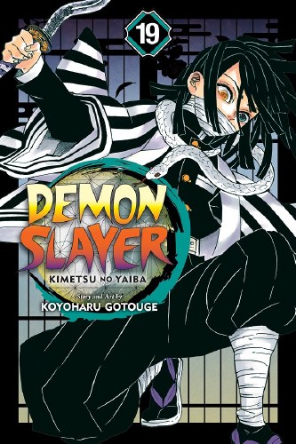 Demon Slayer Vol 19 SC