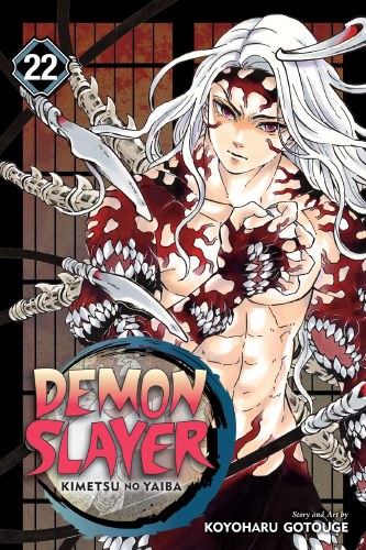 Demon Slayer Vol 22 SC