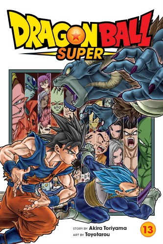 Dragon Ball Super Vol 13 SC