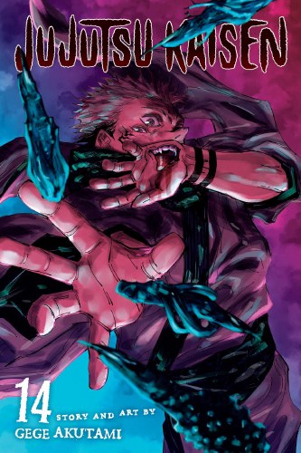 Jujutsu Kaisen Vol 14 SC