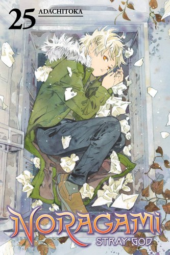Noragami Vol 25 SC