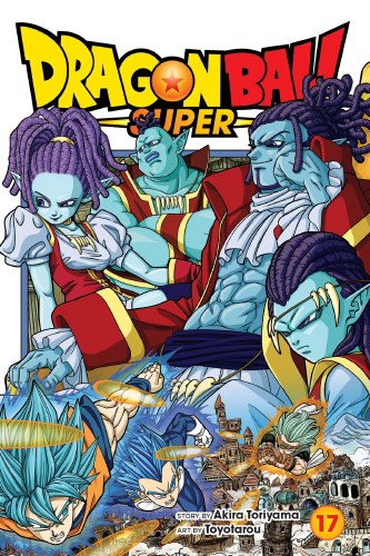 Dragon Ball Super Vol 17 SC