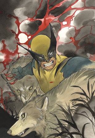 Wolverine (2024) #1 2nd Print Peach Momoko 1:25 Virgin Variant Cover