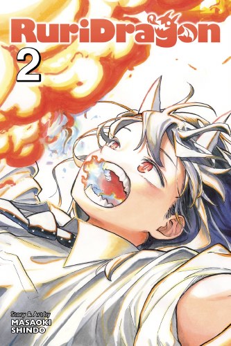 RuriDragon Vol 02 SC