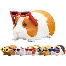Sunglasses Guinea Pig Blind Box