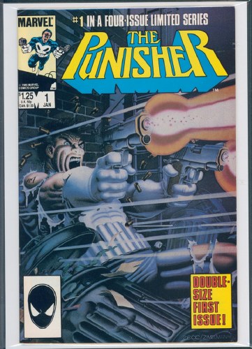 Punisher #1
