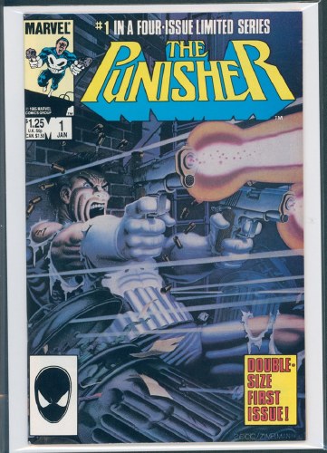 Punisher #1