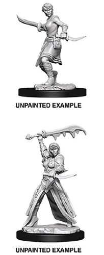 Dungeons and Dragons Nolzur's Marvelous Human Female Rogue Miniatures