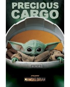 Star Wars Mandalorian Baby Yoda Precious Cargo 24" x 36" Poster