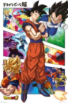 Dragon Ball Z Super Panels 24" x 36" Poster