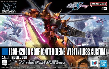 Gundam SEED Destiny ZGMF-2000 Gouf Ignited Heine Westenfluss Cusom HG 1/144 Model Kit