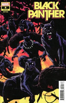 Black Panther (2021) #8 Paquette Variant Cover