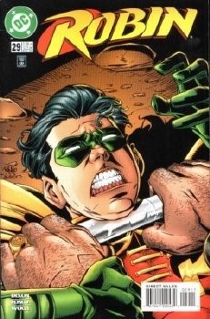 Robin (1993) #29