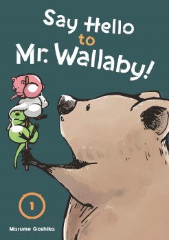 Say Hello to Mr Wallaby! Vol 01 SC