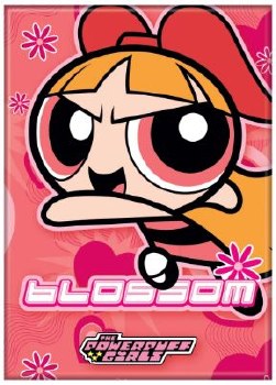 Powerpuff Girls Blossom on Pink Magnet