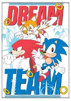 Sonic the Hedgehog Dream Team Magnet