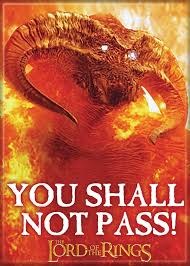 Lord of the Rings You Shall Not Pass Magnet