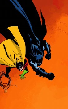 Batman Dark Victory SC