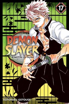 Demon Slayer Vol 17 SC