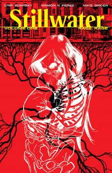 Stillwater by Zdarsky and Perez Vol 01 SC