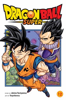 Dragon Ball Super Vol 12 SC